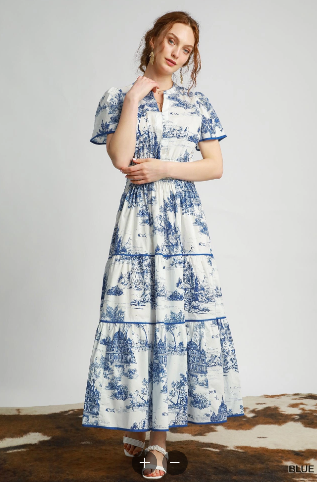 Scenic Toile Carolina Charm Dress