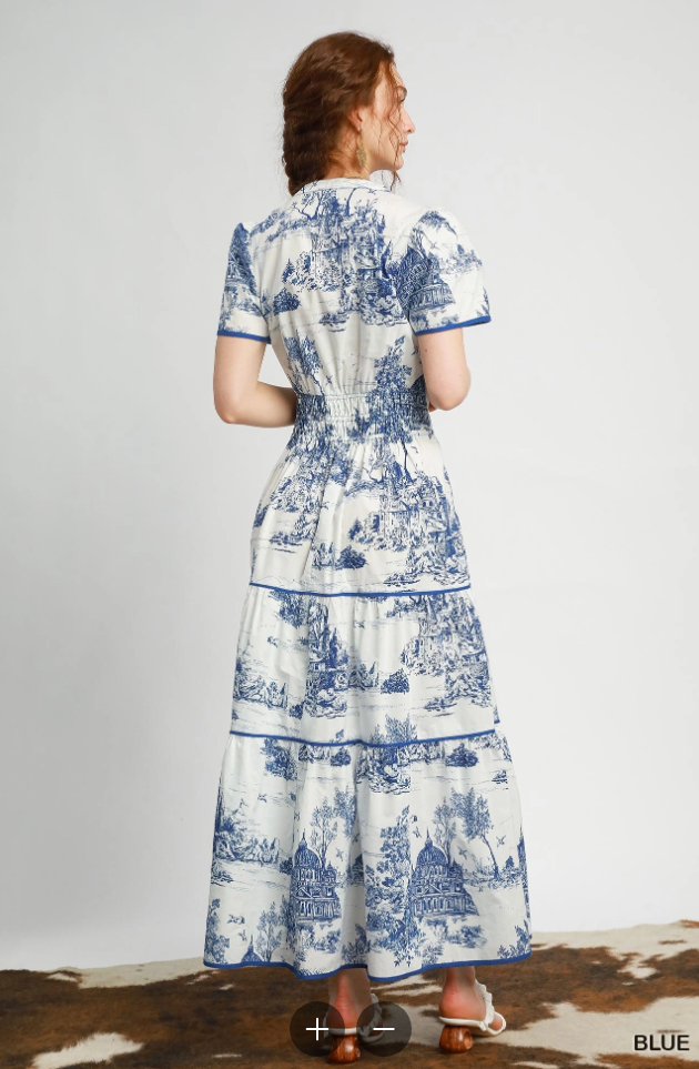 Scenic Toile Carolina Charm Dress